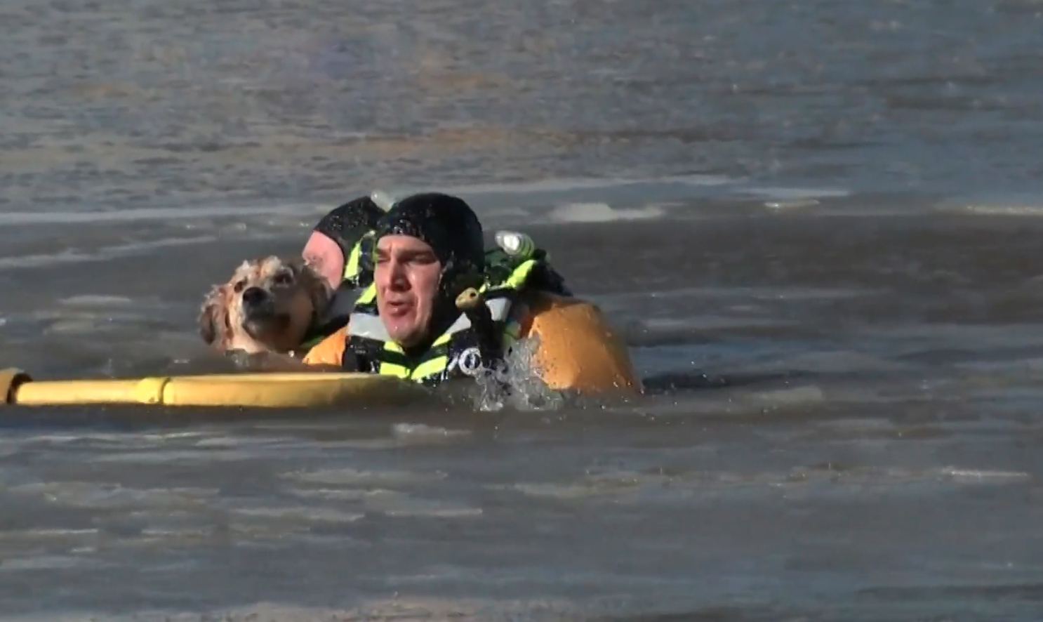 Video Shows Daring Rescue Crews Swimming Through Freezing Water To Save Stranded Dog’s Life